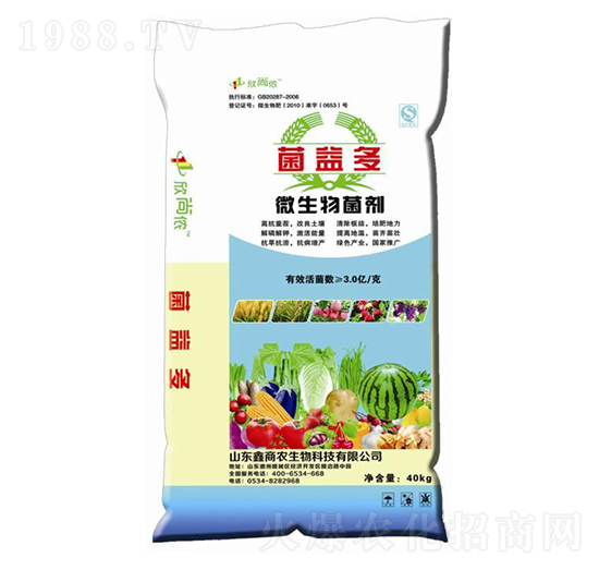 ΢�������-�����-���Ѓz