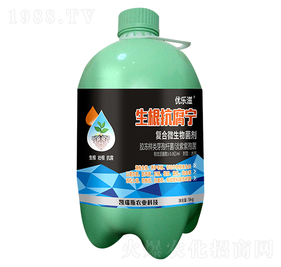 ����������-��(y��u)����-�P��˹