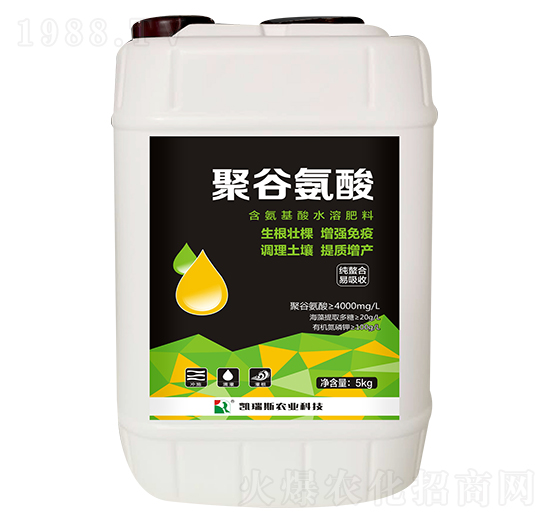 �۹Ȱ���-�P��˹