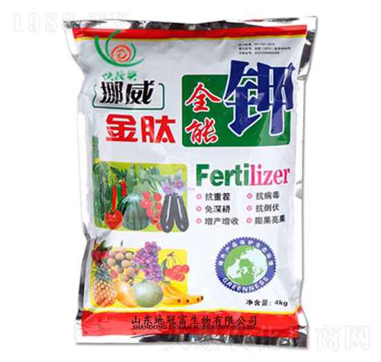 ȫ���-�عڸ�