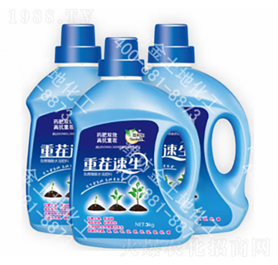 �ز�����-������