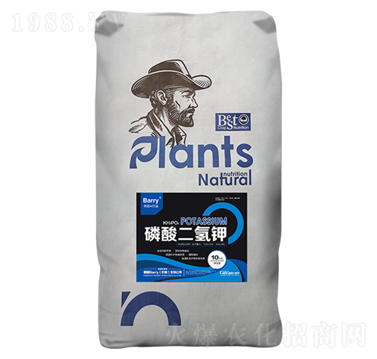 ��������-��Ƚ���Q(m��o)