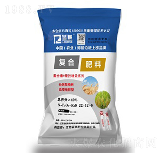 �ͺϷ���22-12-6-�{�i�ʘI(y��)