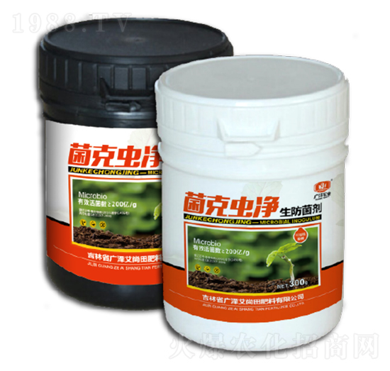 �����x��-�V�ɰ�����