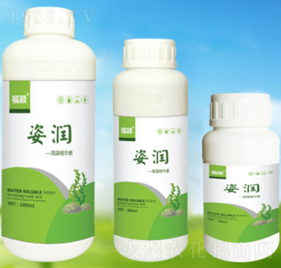 ����ֲ��ˮ�ܷ���-�˝�-��������