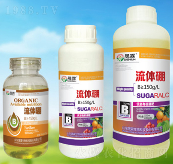 ���w��-��������