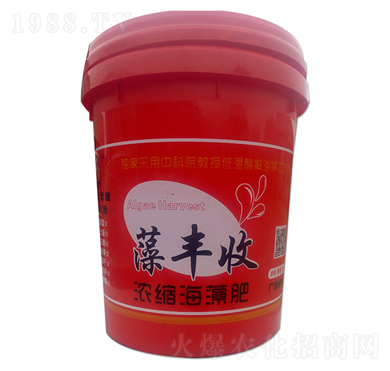 �~����÷�-���S��-�S�պ�