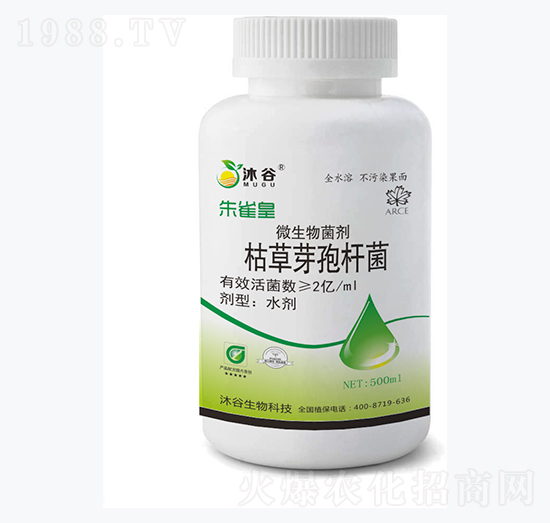 �ݲ�ѿ�ߗU��-��ȸ��-�������