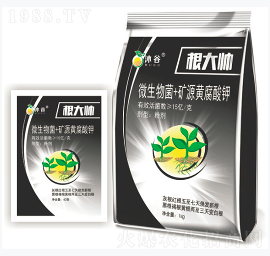 ΢�����+�VԴ�S�����-����-�������