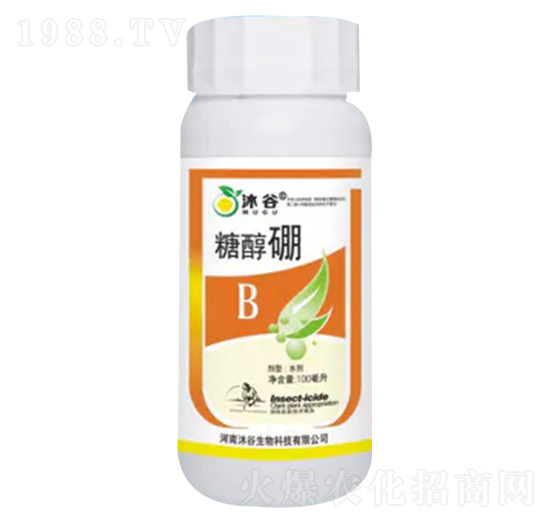 �Ǵ���-�������