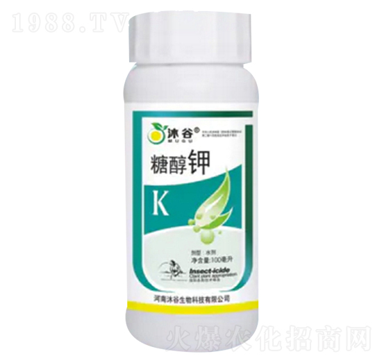 �Ǵ��-�������