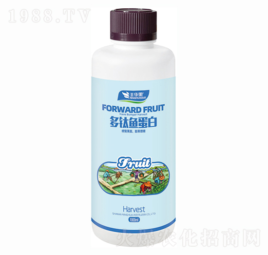 ����~����-�S�A��-�S�A�ʘI(y��)