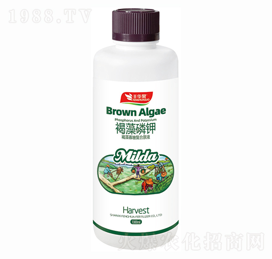 ������Ǐ�(f��)��ԭҺ-�������-�S�A�ʘI(y��)