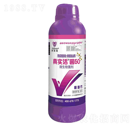 ΢�������-�挍(sh��)���50-����ķ-���r(n��ng)�|��