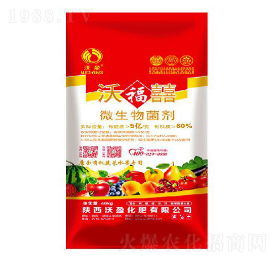 ΢�������-�ָ���-��ӯ����