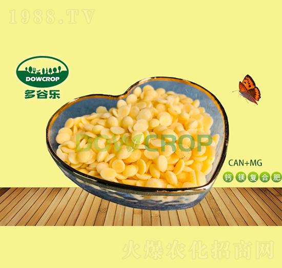 �SɫƬ���}�V��(f��)�Ϸ�-��Ș�