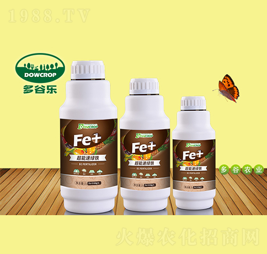 1L�����پG�F-��Ș�