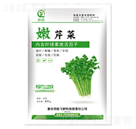 鮮韭菜-白市化工