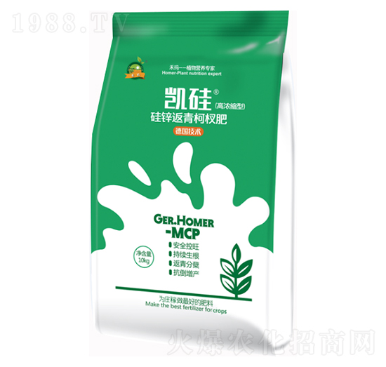 �����辷�-�P��-�̬�