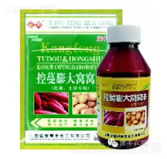 控蔓膨大窩窩-康豐農(nóng)肥