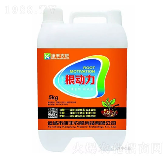 ������-���S�r��