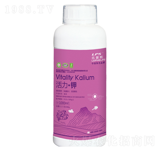 �������-�Θ��r(n��ng)�I(y��)