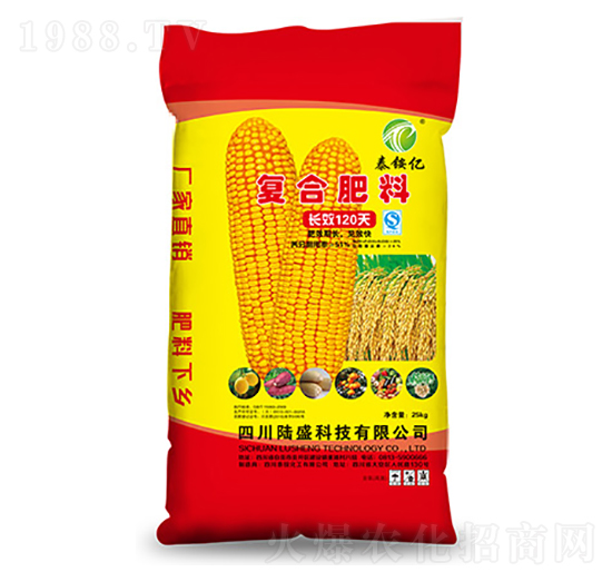 ��(f��)�Ϸ���-̩�@�|-�ʢ�Ƽ�