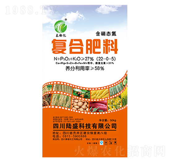 �ͺϷ���22-0-5-̩�@�|-�ʢ�Ƽ�