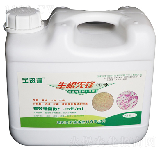 生根先鋒1號-寶滋淋-金歲液體肥