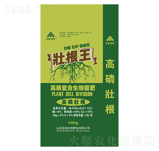 ���׏ͺ��������-�Ѹ���-ʥ��