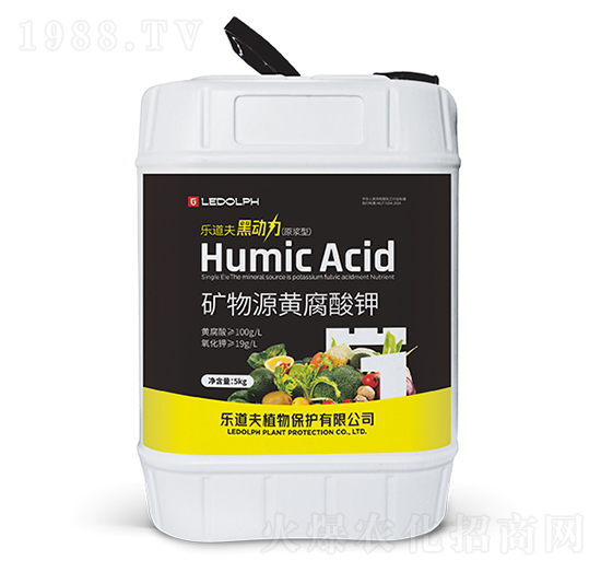 �V��Դ�S�����-�ڄ���-������