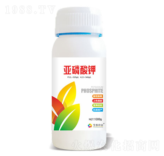 �������-��̩�r�I(y��)