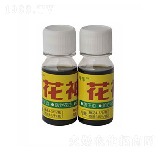 �z���r����-�r(n��ng)����