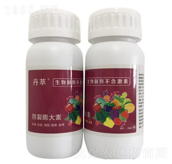 ���������-�r(n��ng)����(l��)