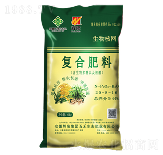 �ͺϷ���20-8-16-����˾W(w��ng)-������B(t��i)