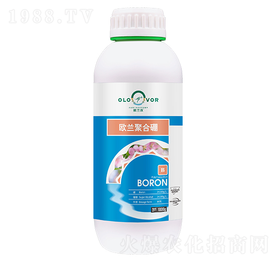 �W�m�ۺ���-�W�m��