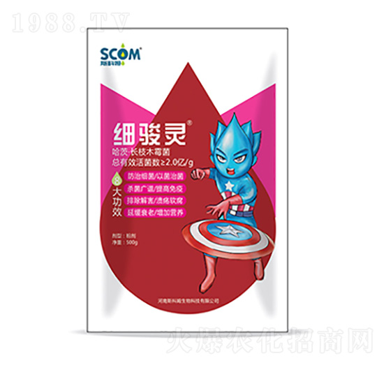 ���ġ��L֦ľù��-���E�`-˹��ķ