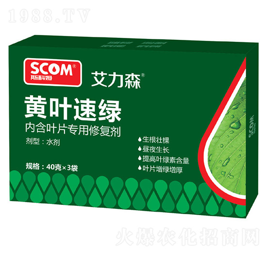 黃葉速綠-艾力森-斯科姆