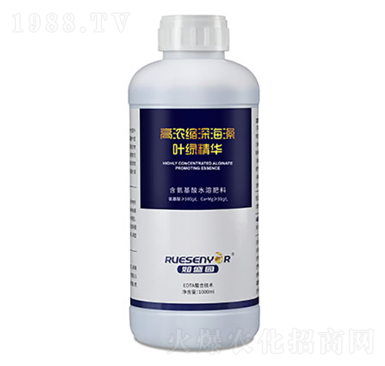 �ߝ�s����~�G���A-����������