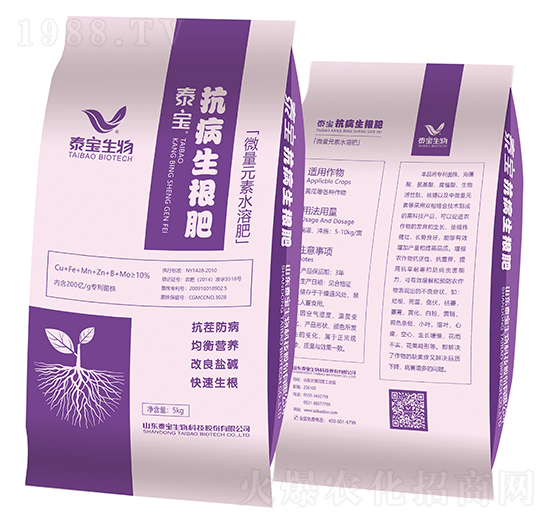 ����������-̩������