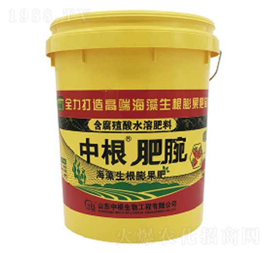 �и�������-�и�����