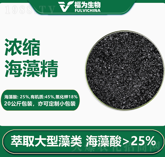 ��s���徫-��������