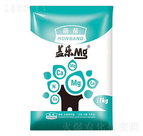 1kg�w����-�Ȏ�