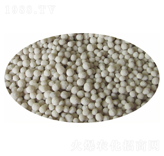 �Ȼ�-�����ʘI(y��)