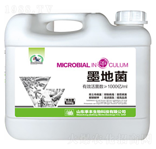 微生物菌劑-墨地菌-季豐生物