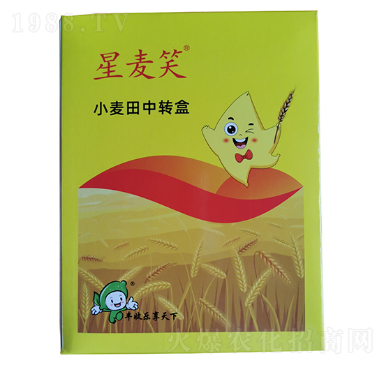 С�������D��-����Ц-�S�՘�