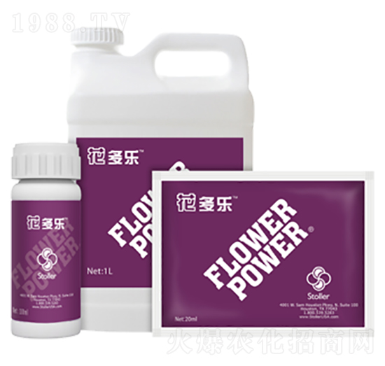 ������-������