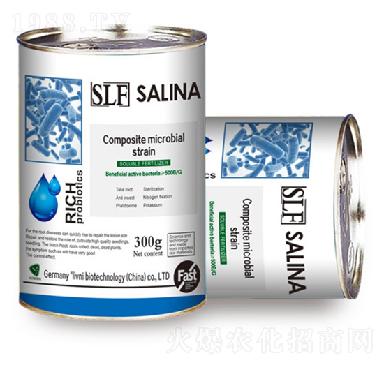 SLF�����؏ͺ�΢����ԭ���N-�y�מ�����