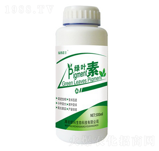 �G�~��-�G���Z�S-�G������