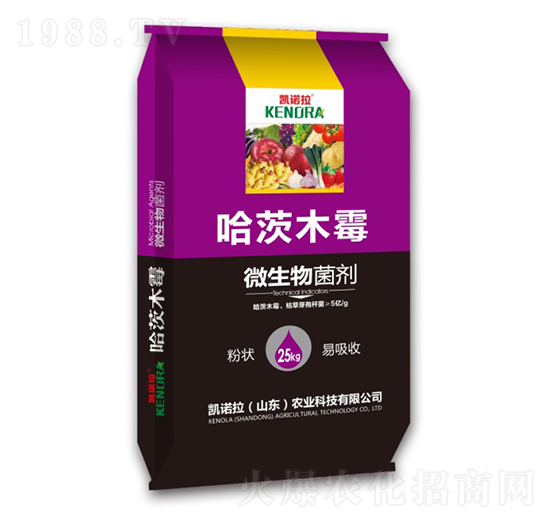 ����ľù-΢�������-�P�Z��